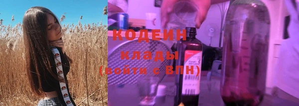 ешки Иннополис