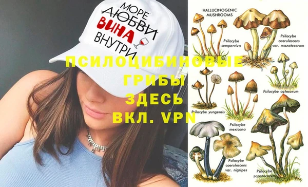 гашиш Инсар