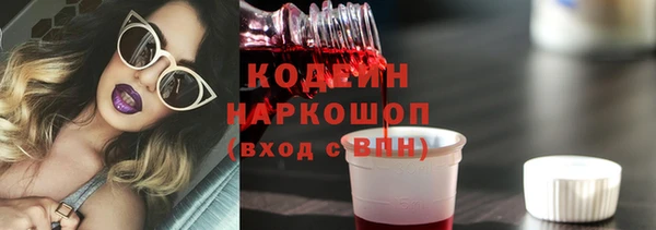 apvp Инта
