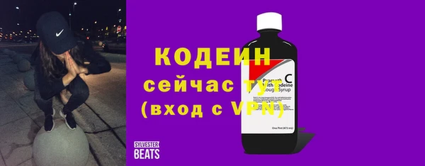 apvp Инта