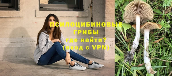 apvp Инта