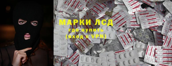 сатива Карпинск