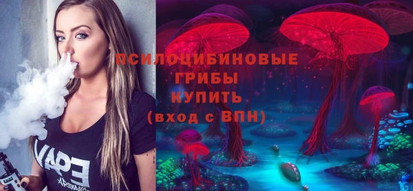 ешки Иннополис