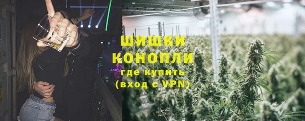 apvp Инта
