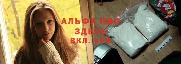 apvp Инта